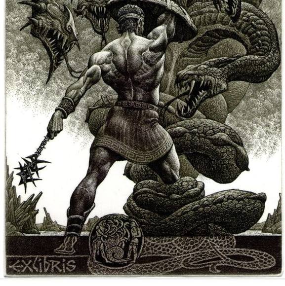 Meet your Posher, Austin - Picture 1 of 1